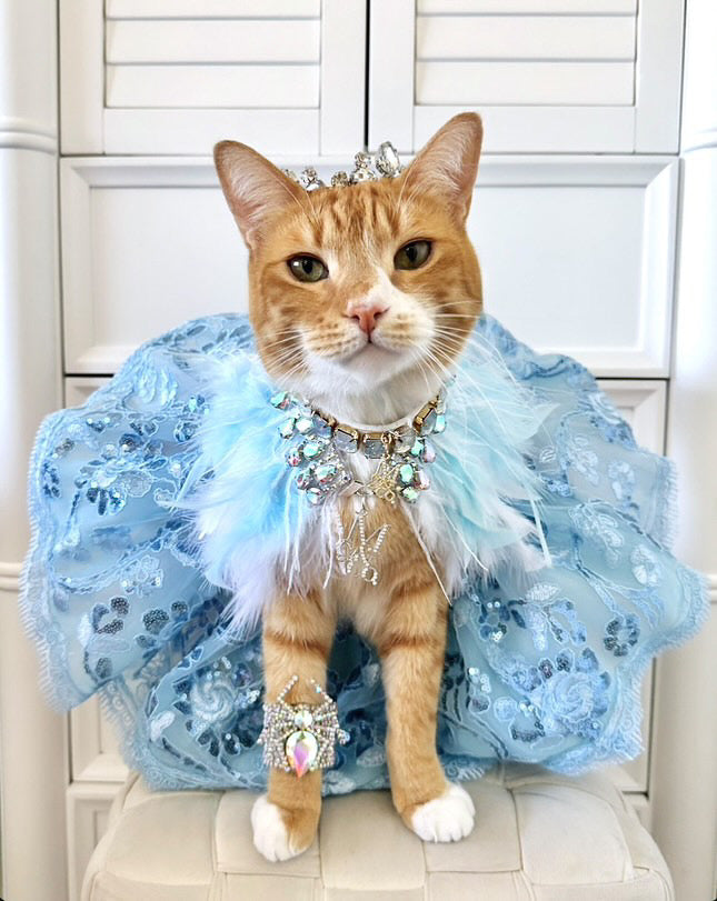 Fairytale Feathers: The Cinderella