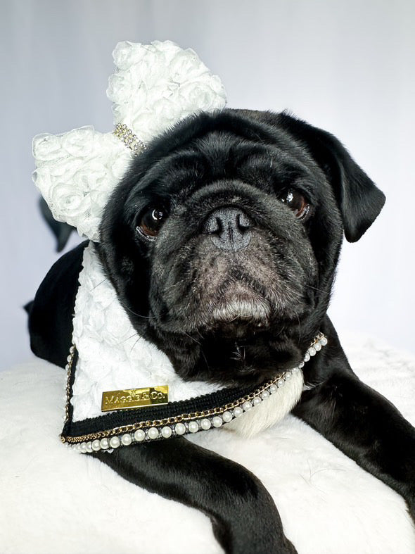 Forever Bliss: Bliss