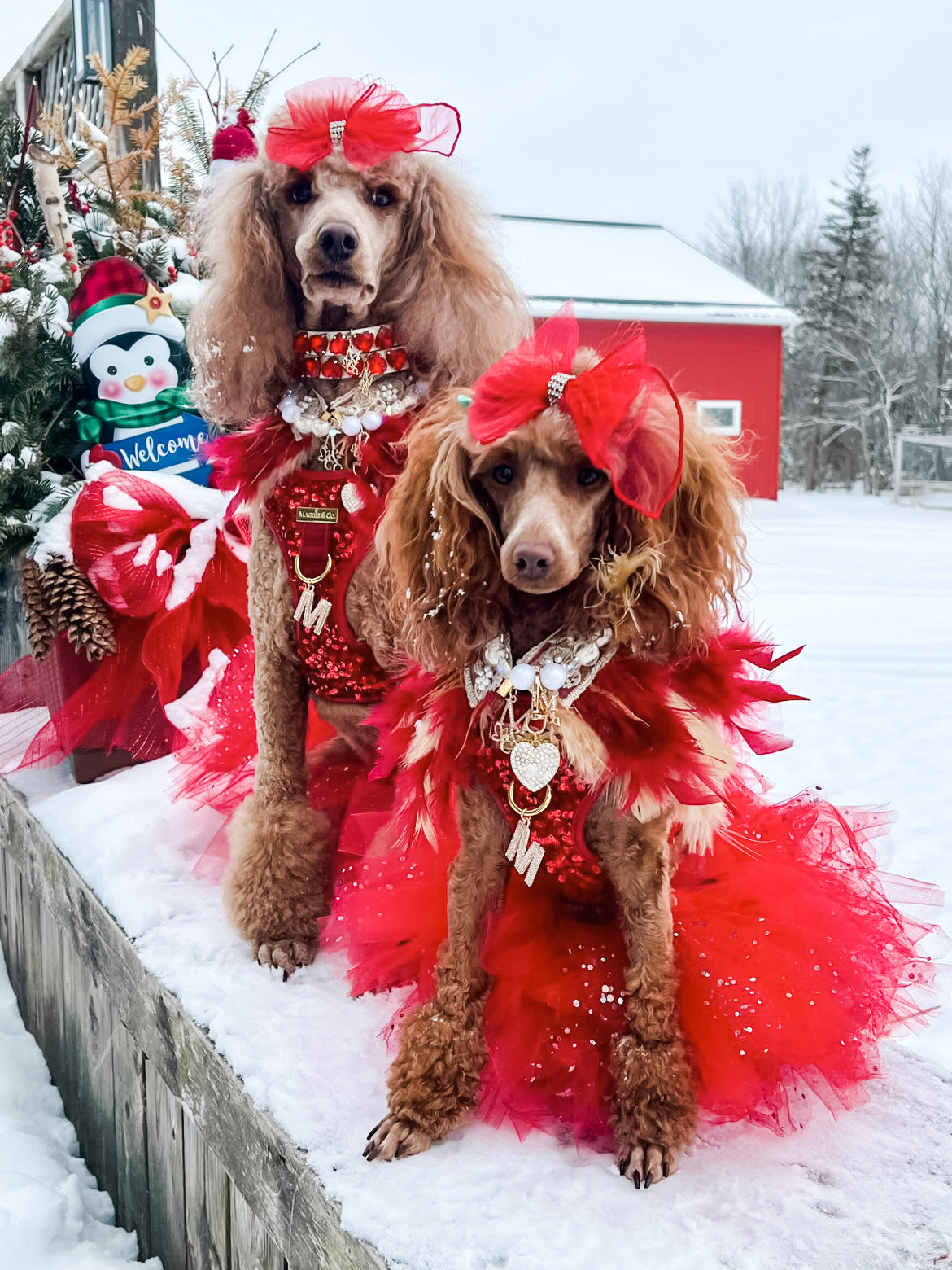 Haute Feathers Necklace: The Phoenix