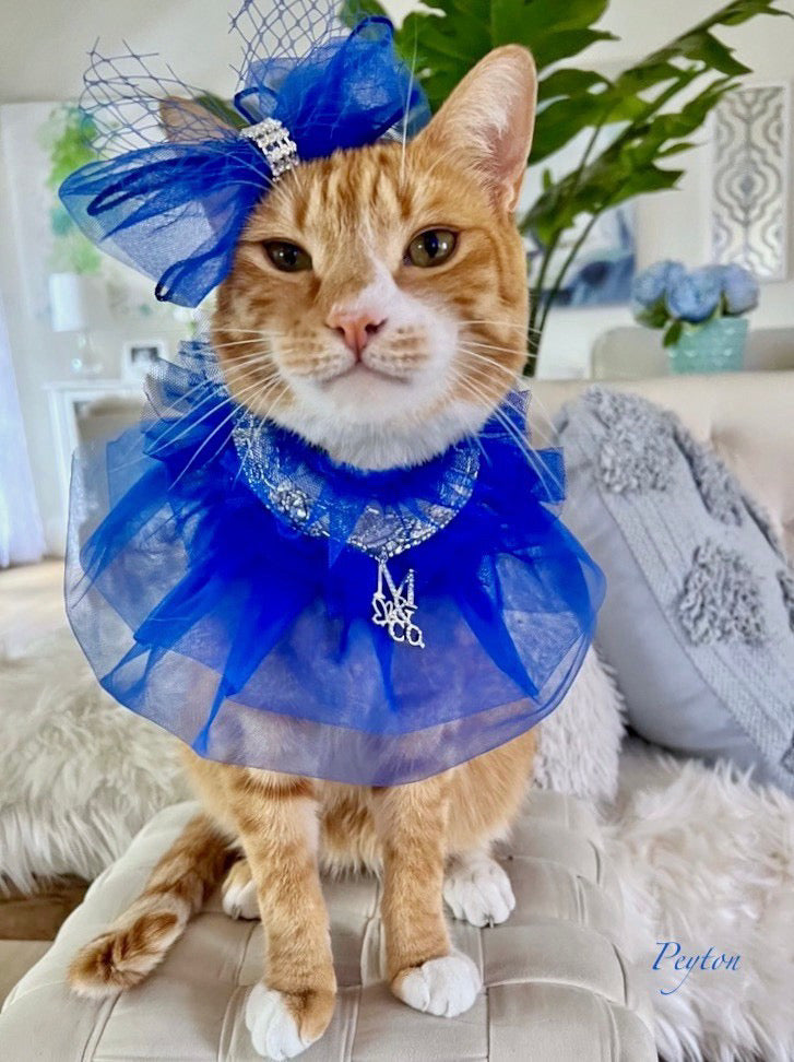 Royal Birthday: Kensington