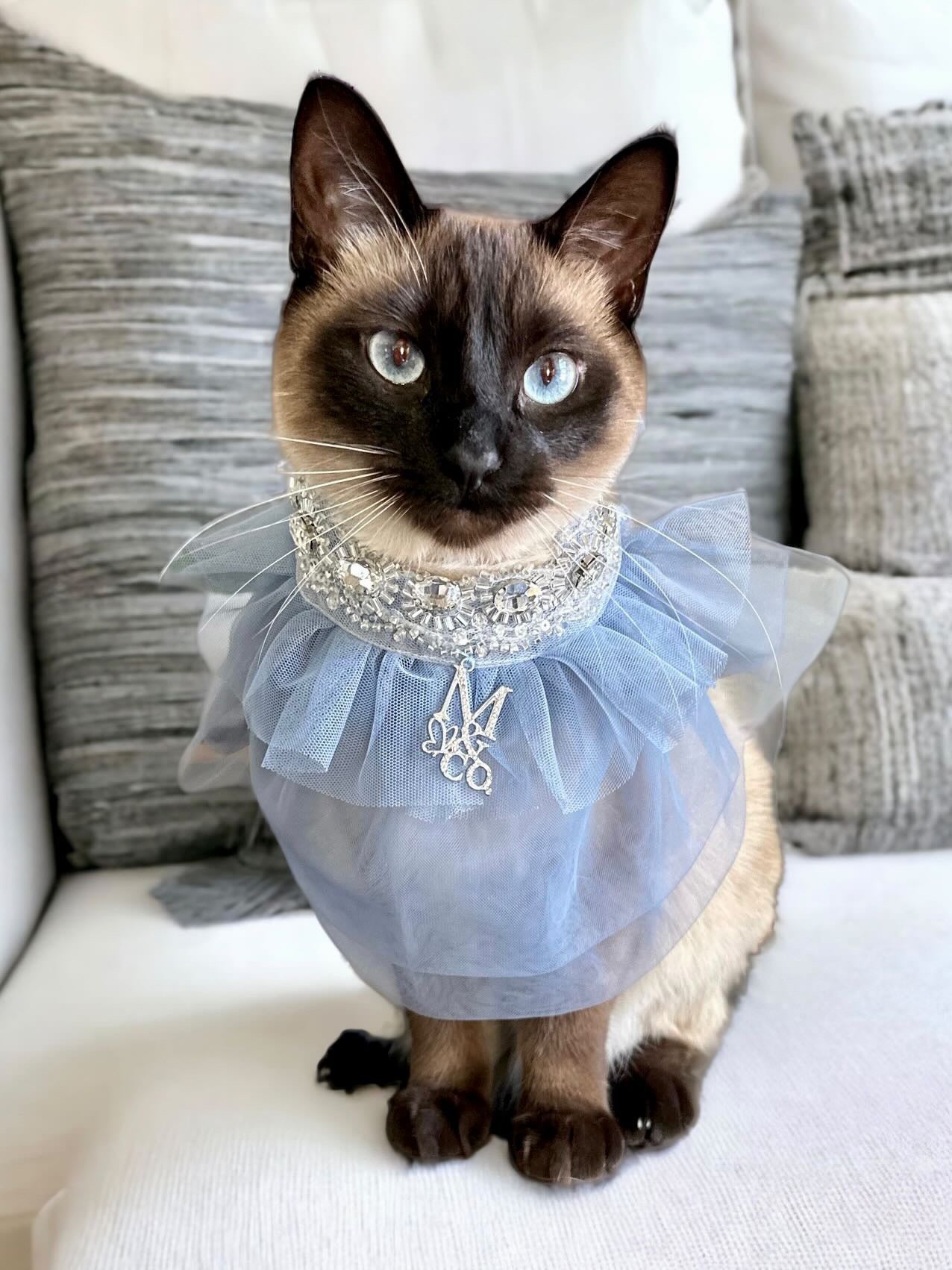 Whimsical Wedding: Frozen