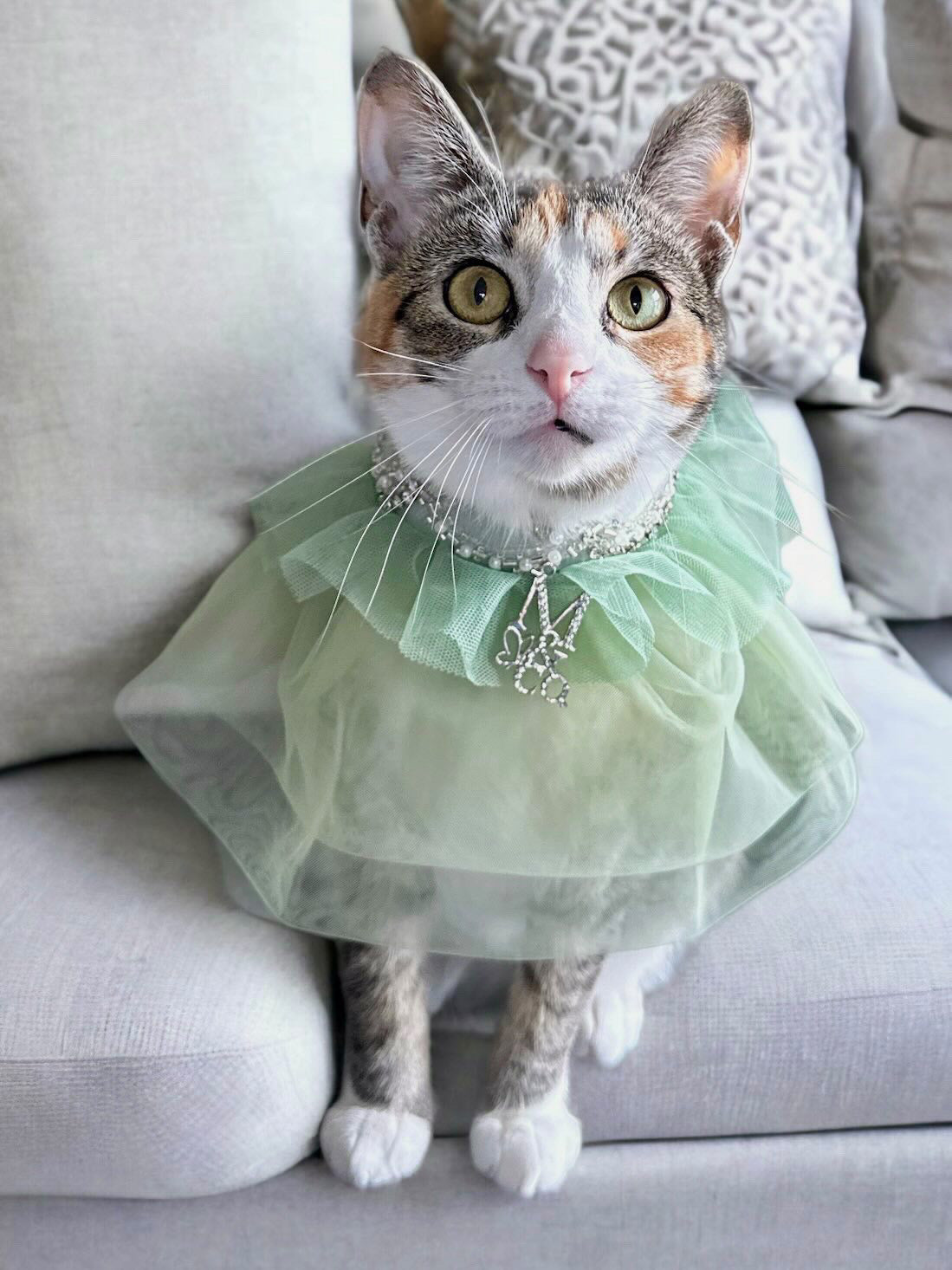 Royal Birthday: Sandringham