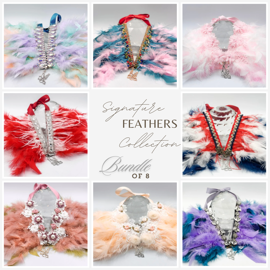 Signature Feathers: Bundle of 8