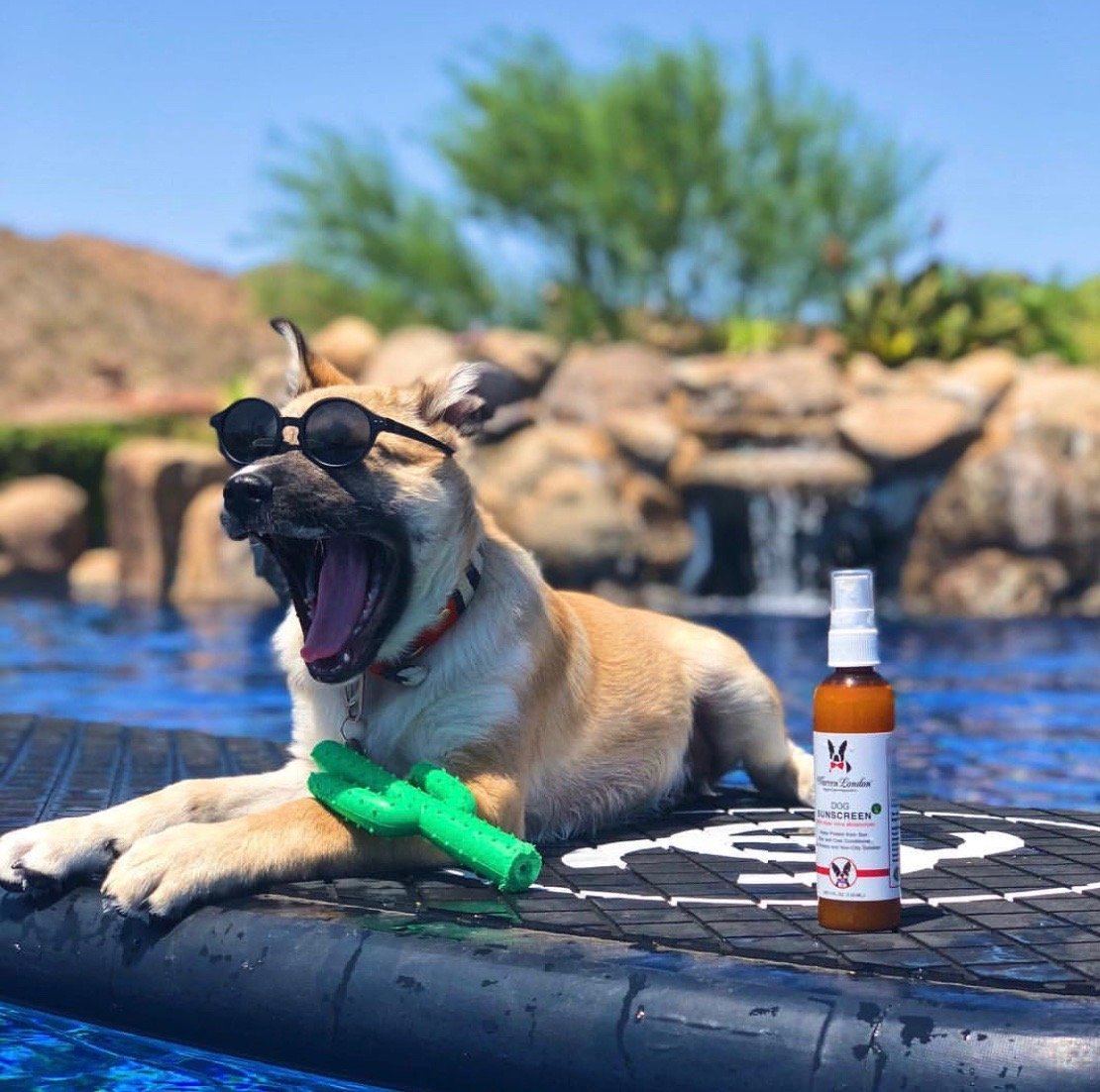 Dog Sunscreen With Aloe Vera Moisturizer