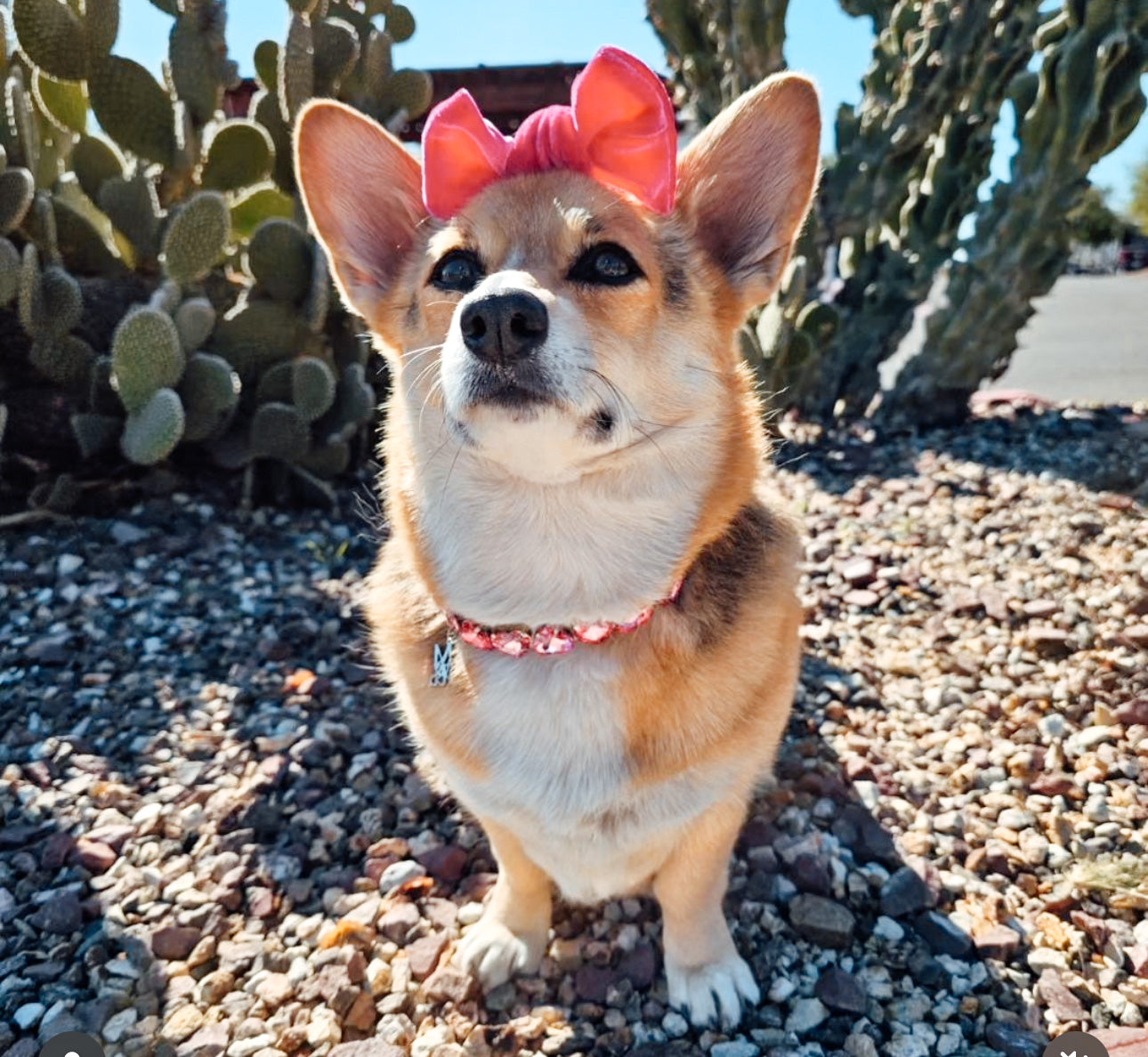 Gem Necklace: The Riley