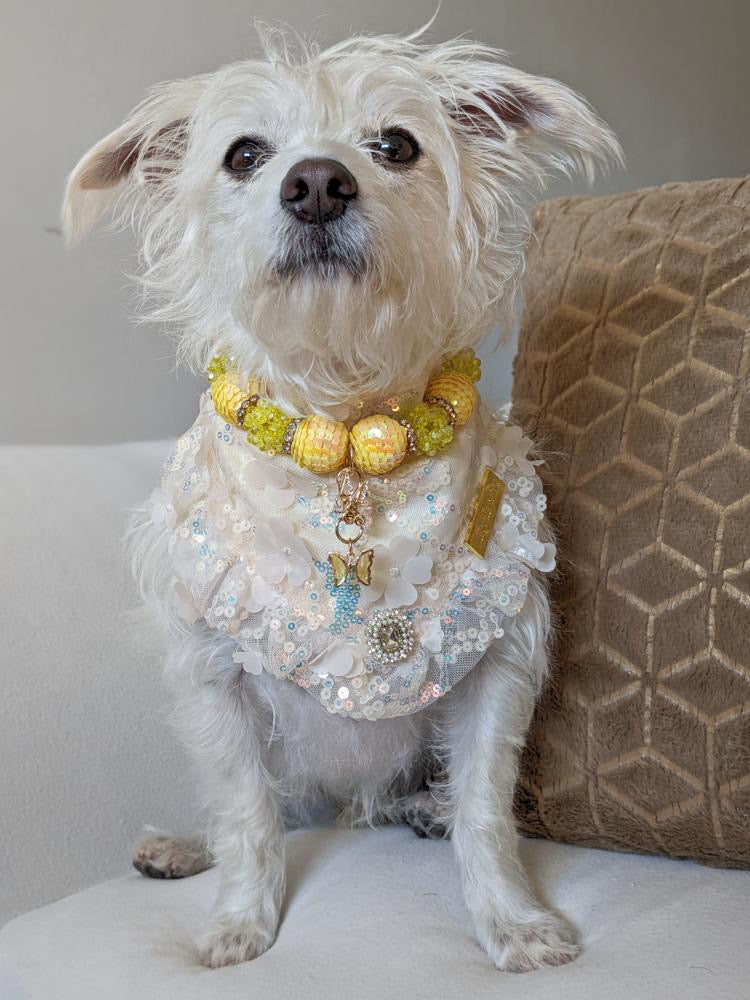 Celebrations II: The Pearl