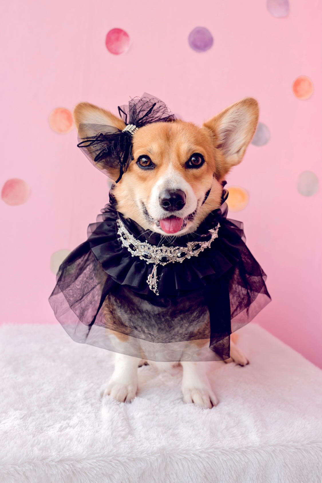 Whimsical Wedding: Imperial