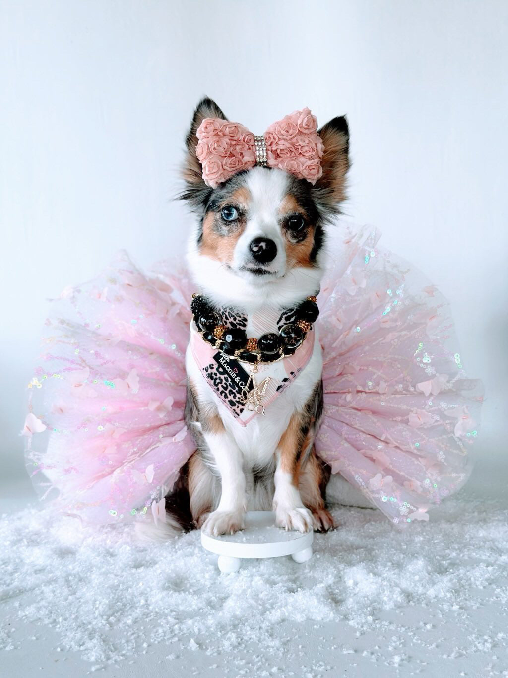 Bandana Set: Pawty Animal