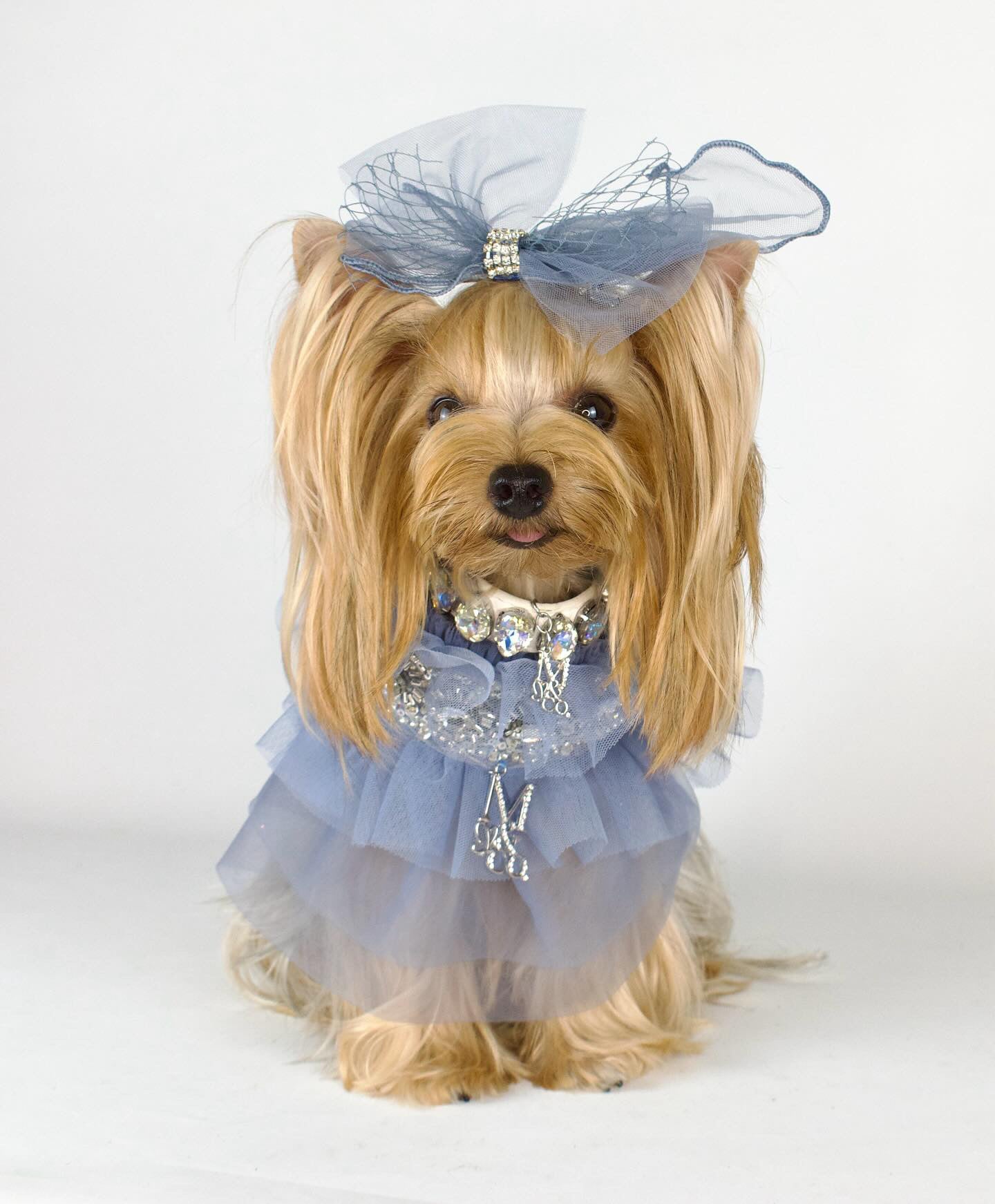 Whimsical Wedding: Frozen