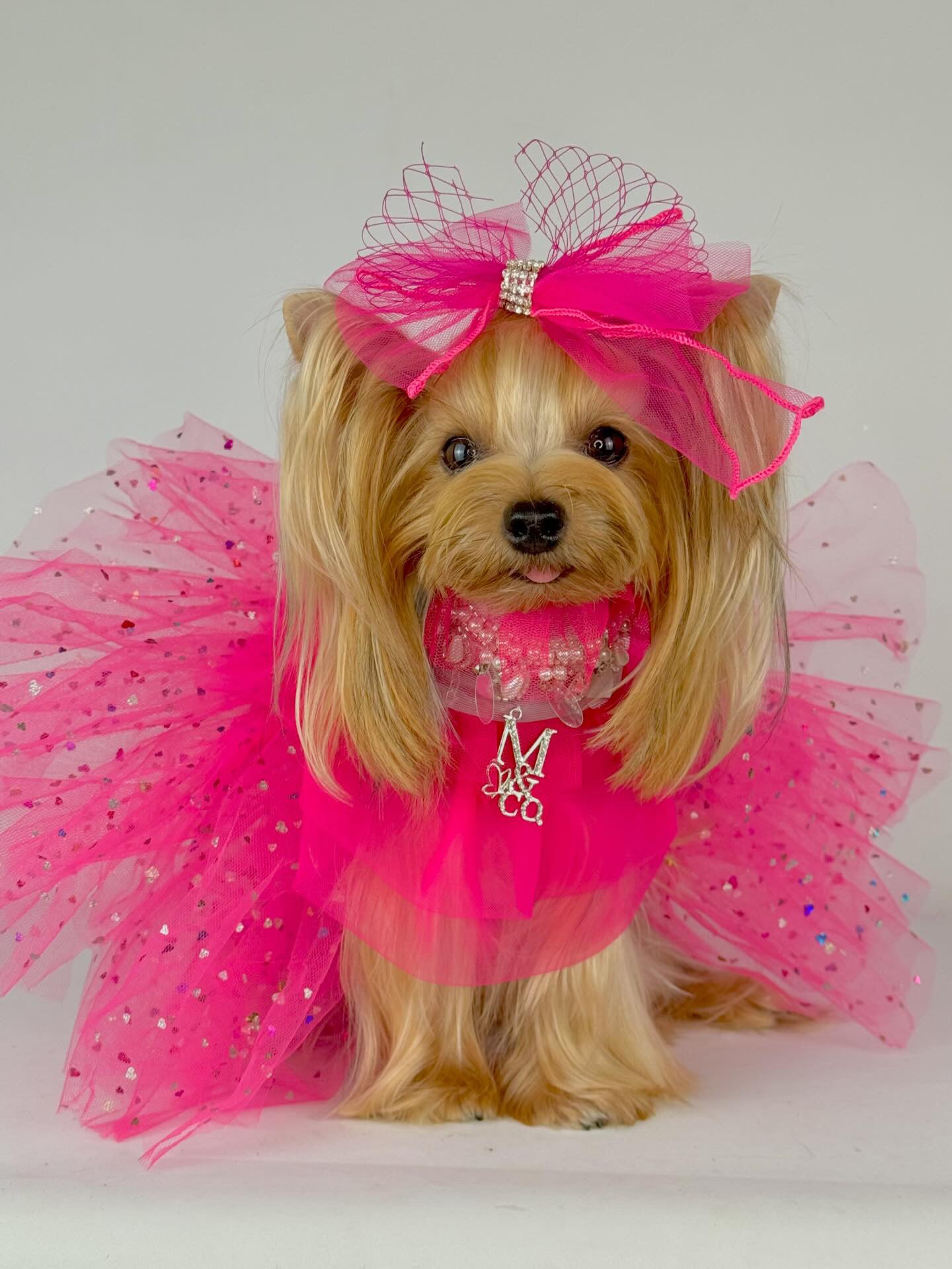 Royal Birthday: Love Story