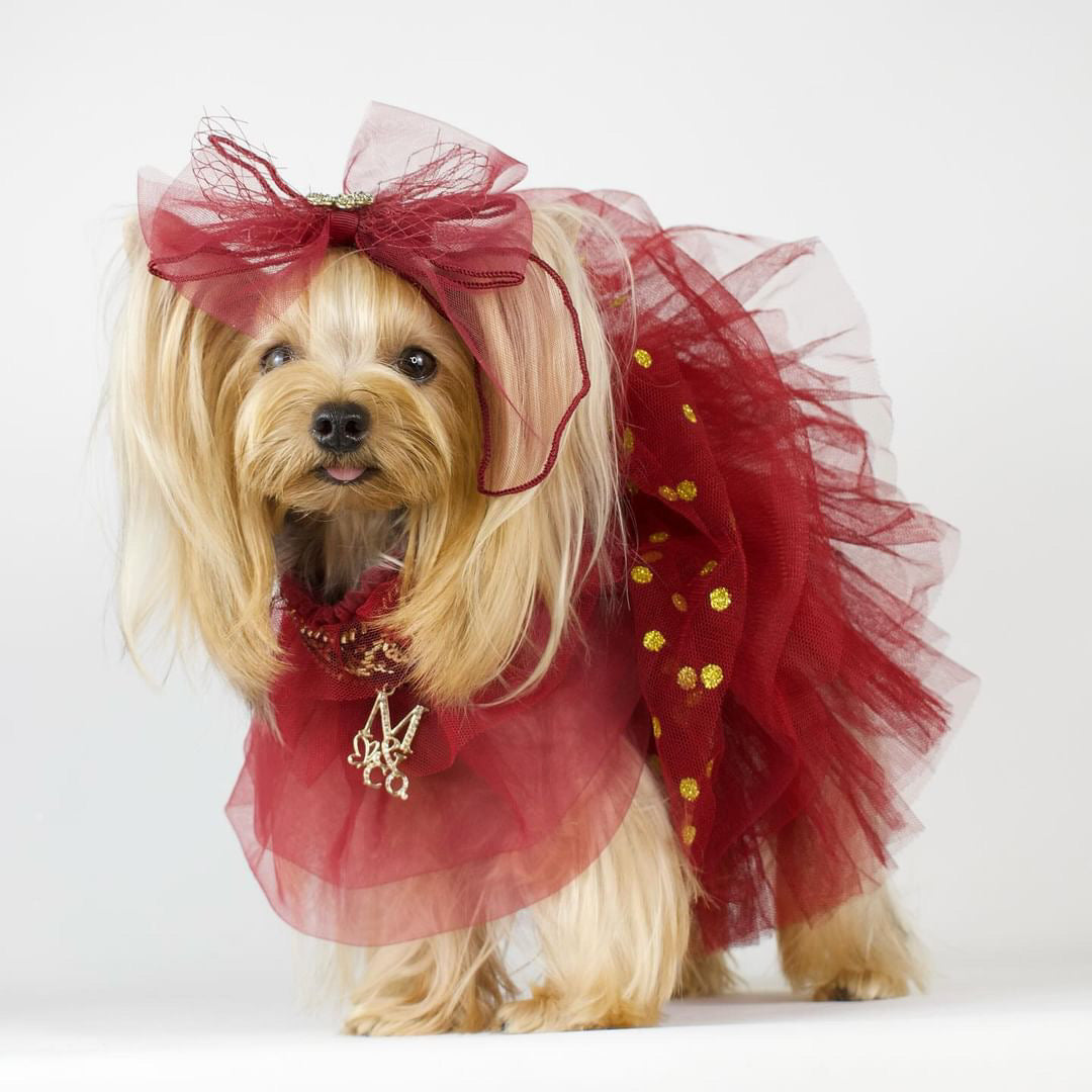 Holiday: Chateau Margaux