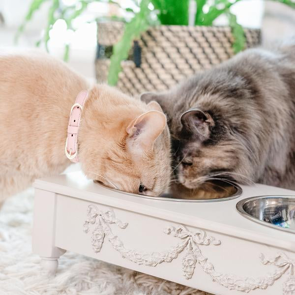 Bonne et Filou – Rose Swag Elevated Pet Bowl Feeder