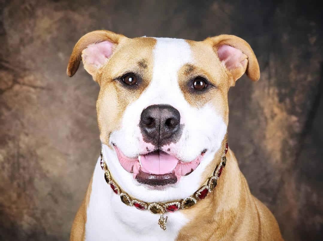 Cruise Gem Necklace I: Darling