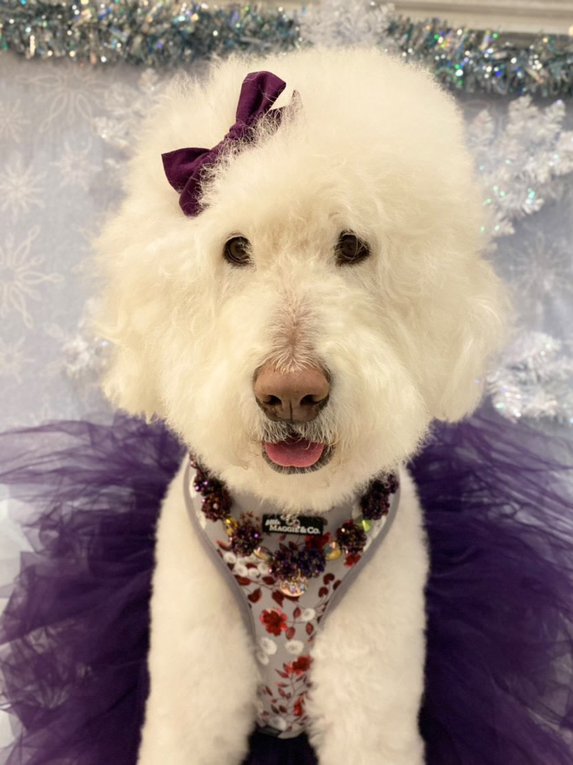 Necklace: The Susana