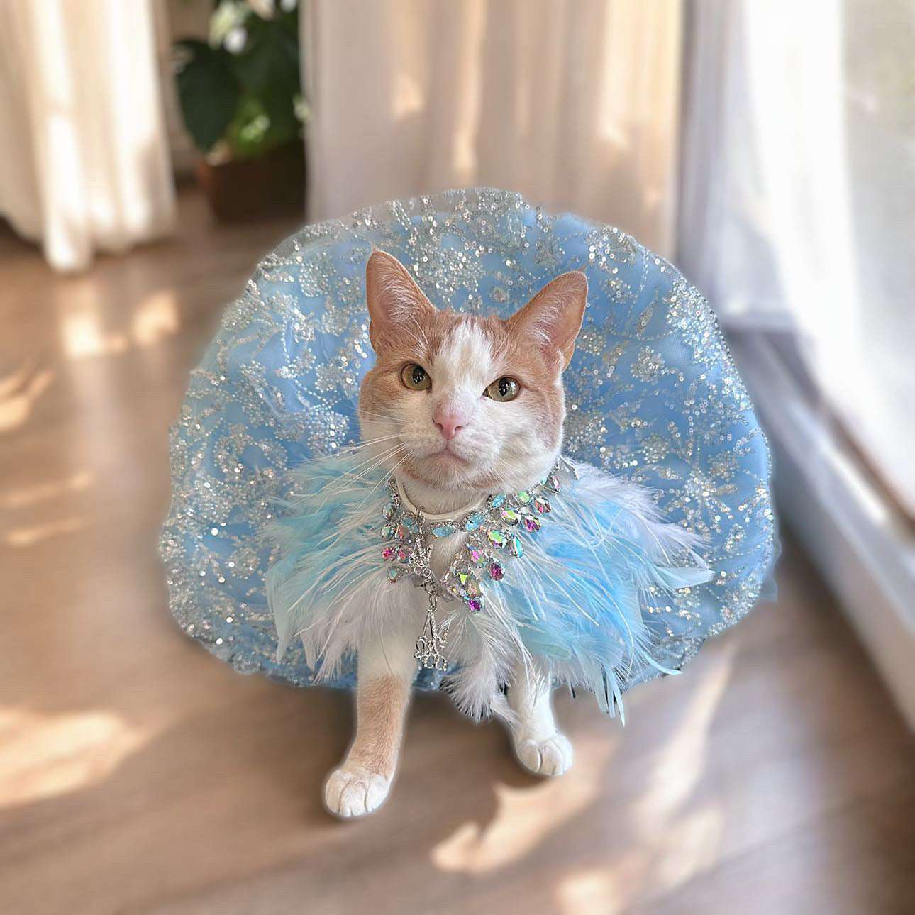 Fairytale Feathers: The Cinderella