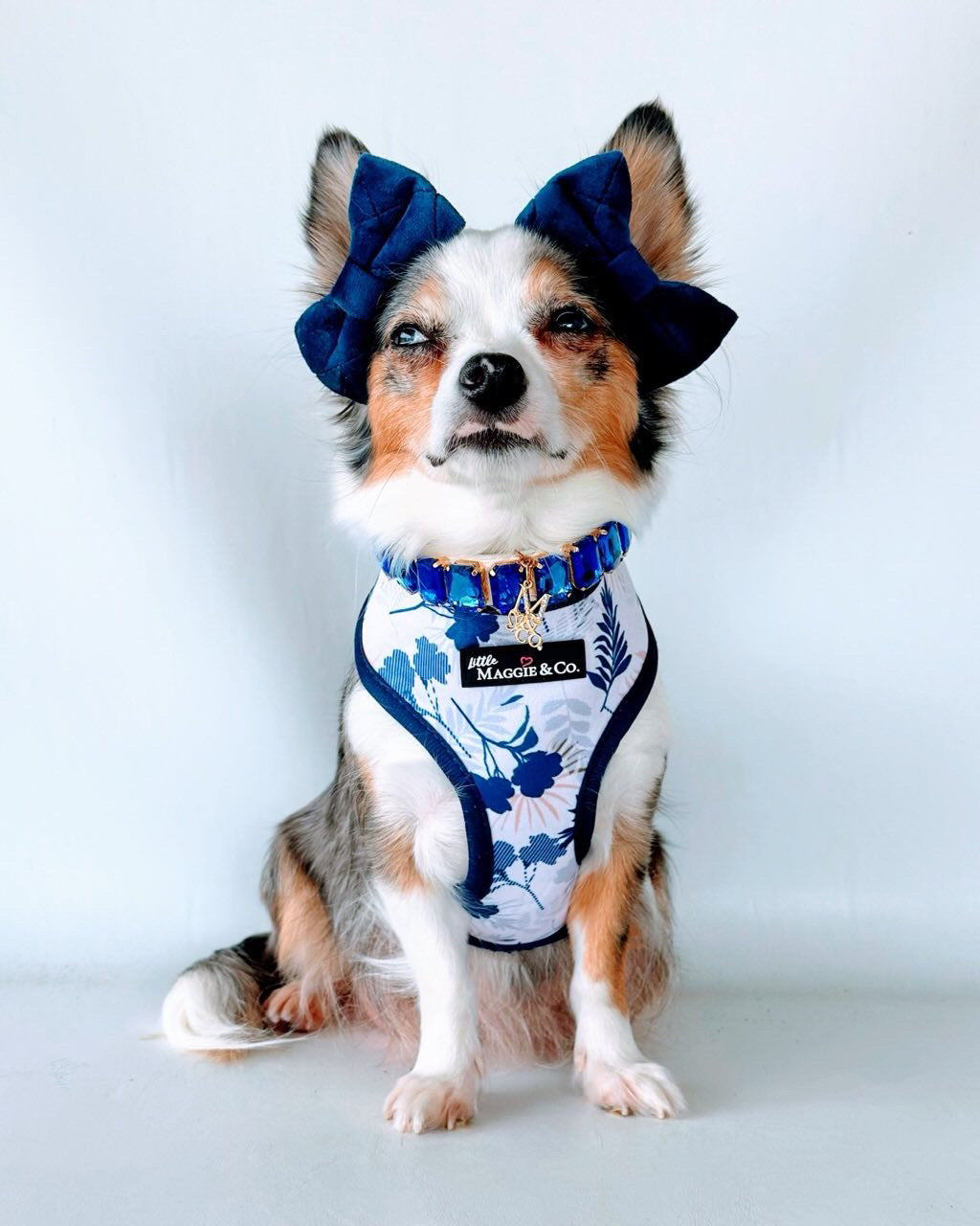 Breezy Reversible Harness