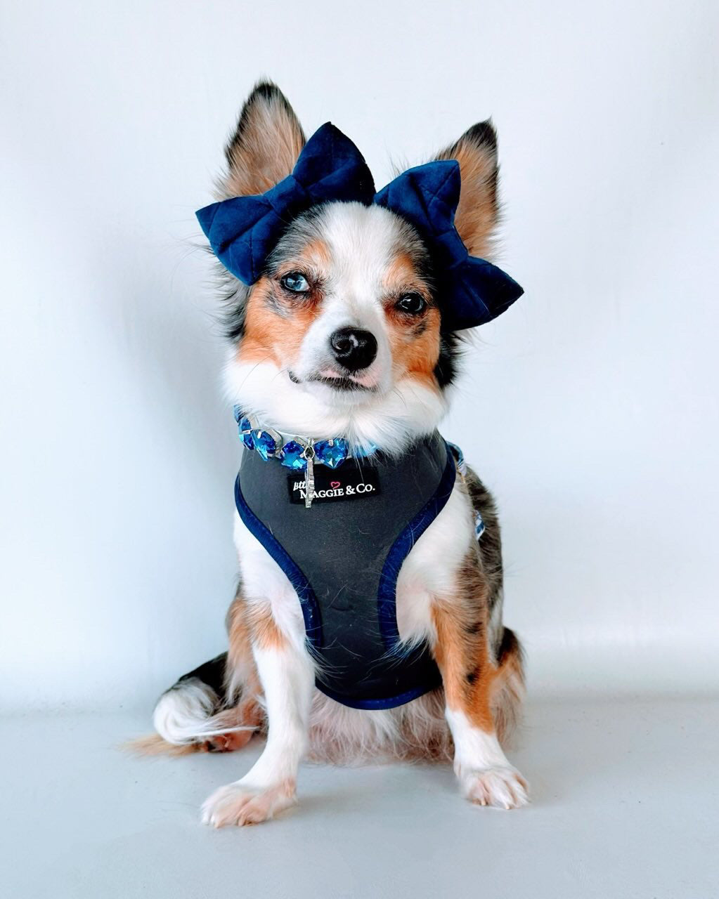 Breezy Reversible Harness