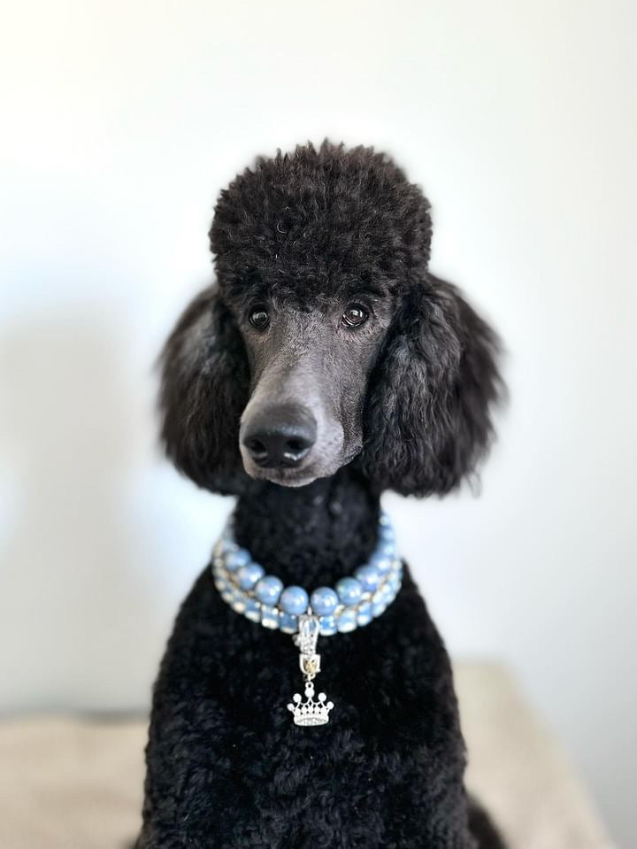 Necklace: Milky Blue