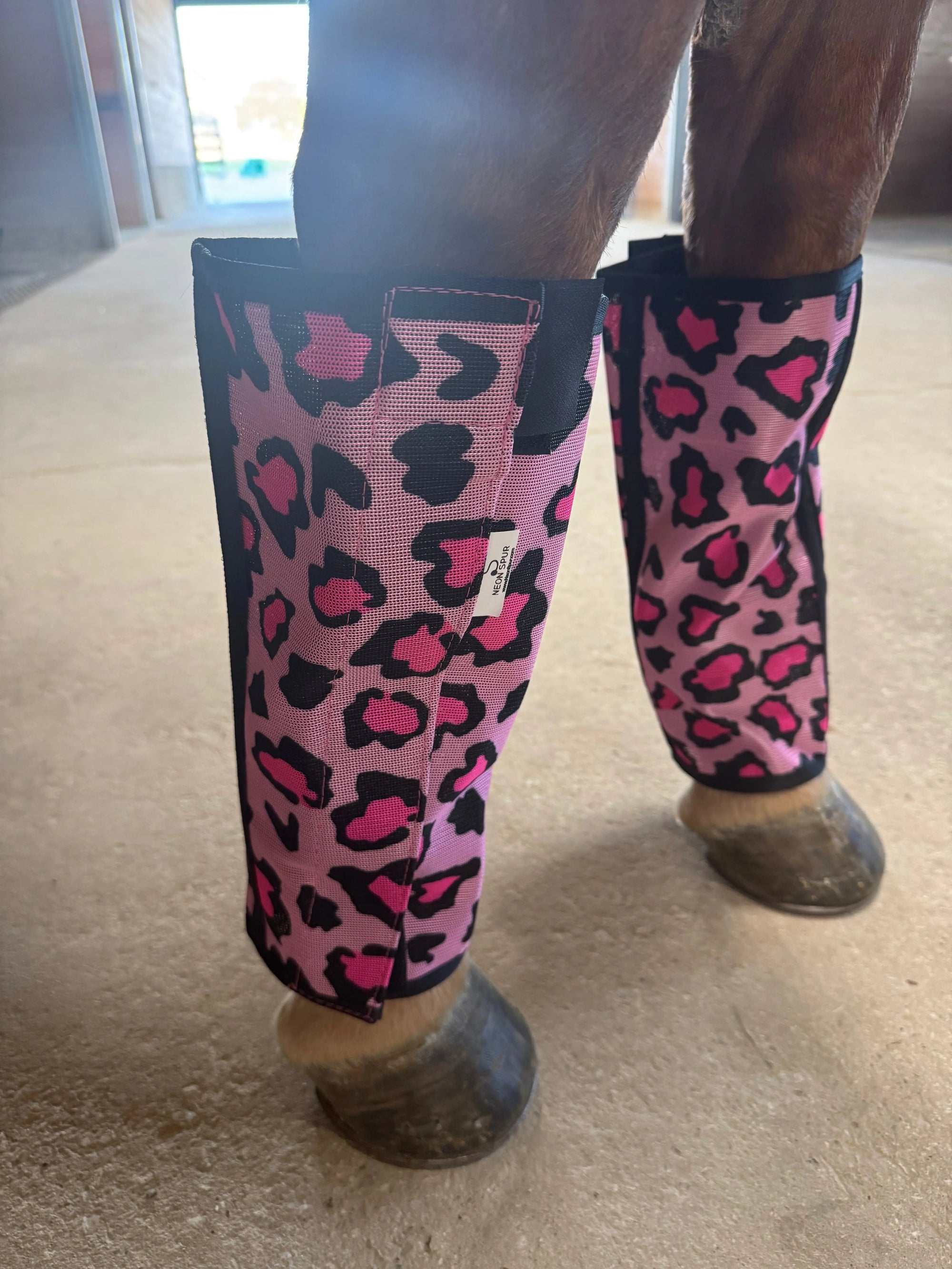 Catty Cowgirl Fly Boot 4-Pack | HT Animal Supply