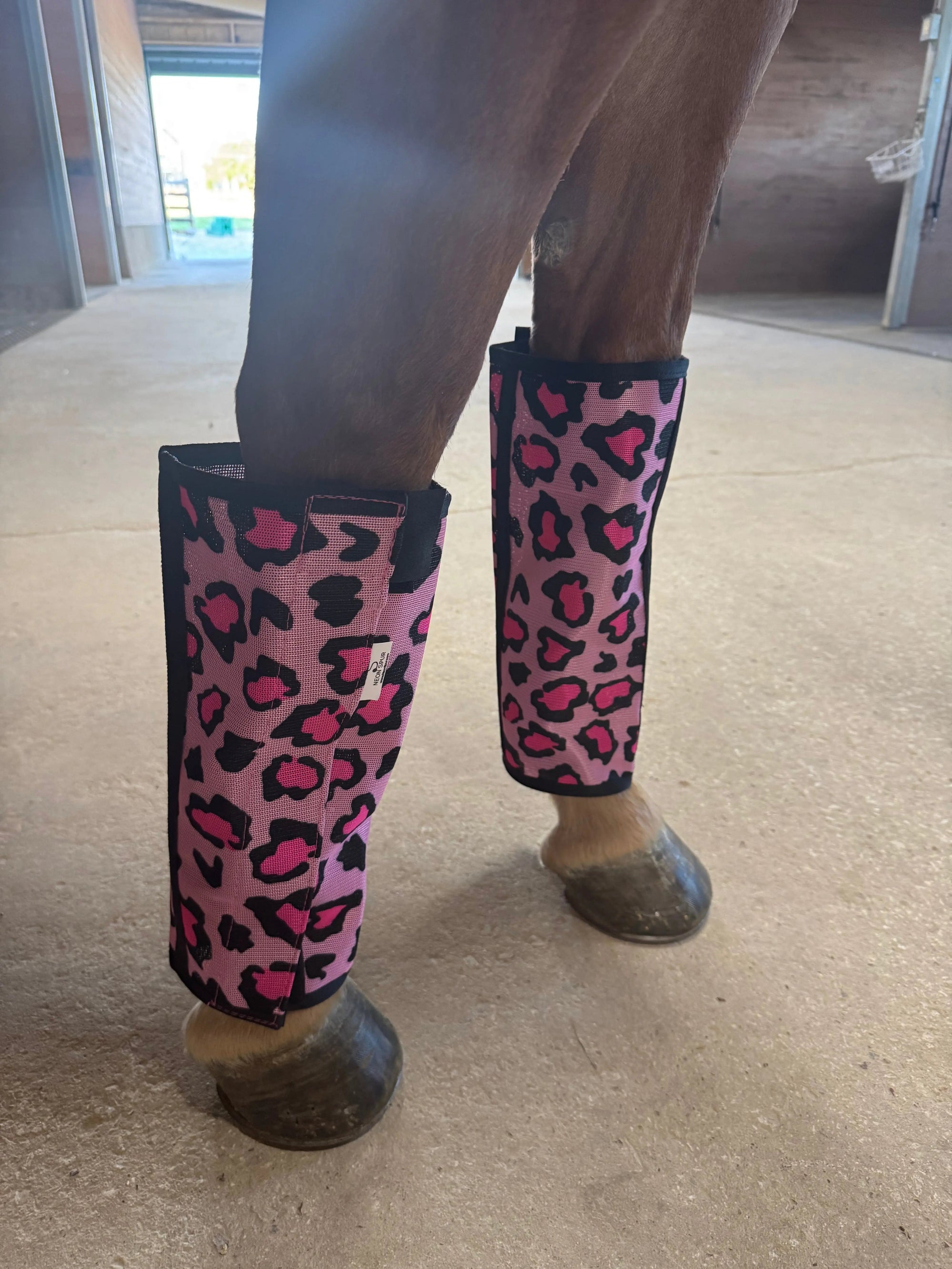 Catty Cowgirl Fly Boot 4-Pack | HT Animal Supply