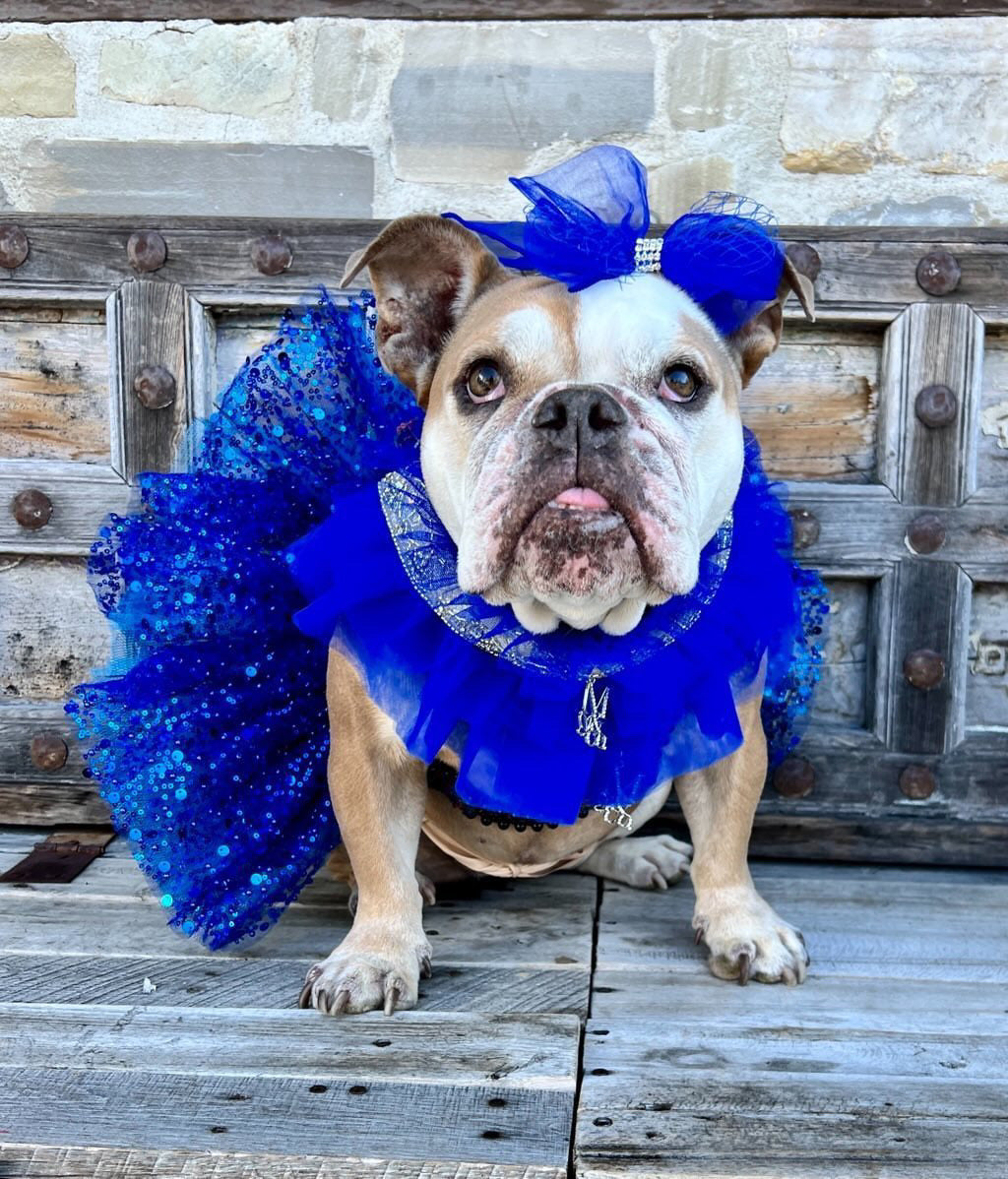 Royal Birthday: Kensington