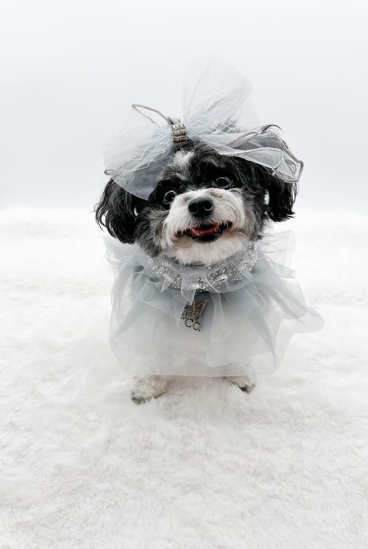 Holiday: Pewter Luster