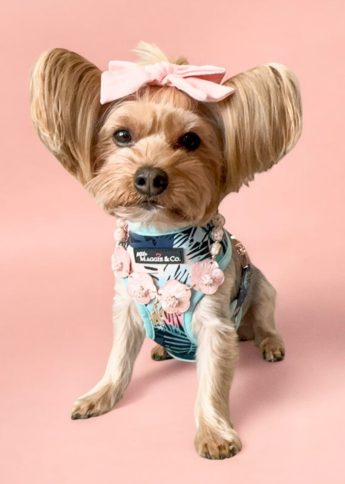 Keep Palm Reversible Harness