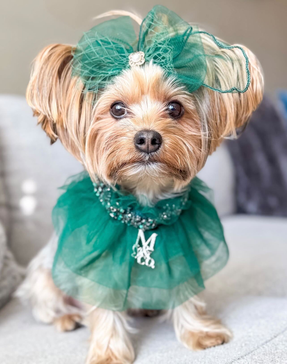 Signature: Green with Envy