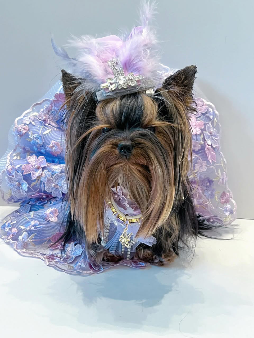 Shades of Lavender Tutu