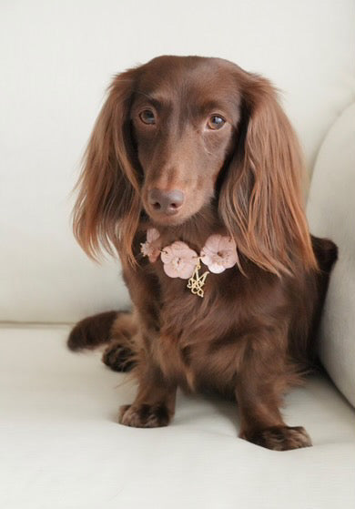 Signature Necklace: The Rosy