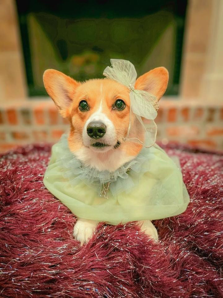 Royal Birthday: Sandringham