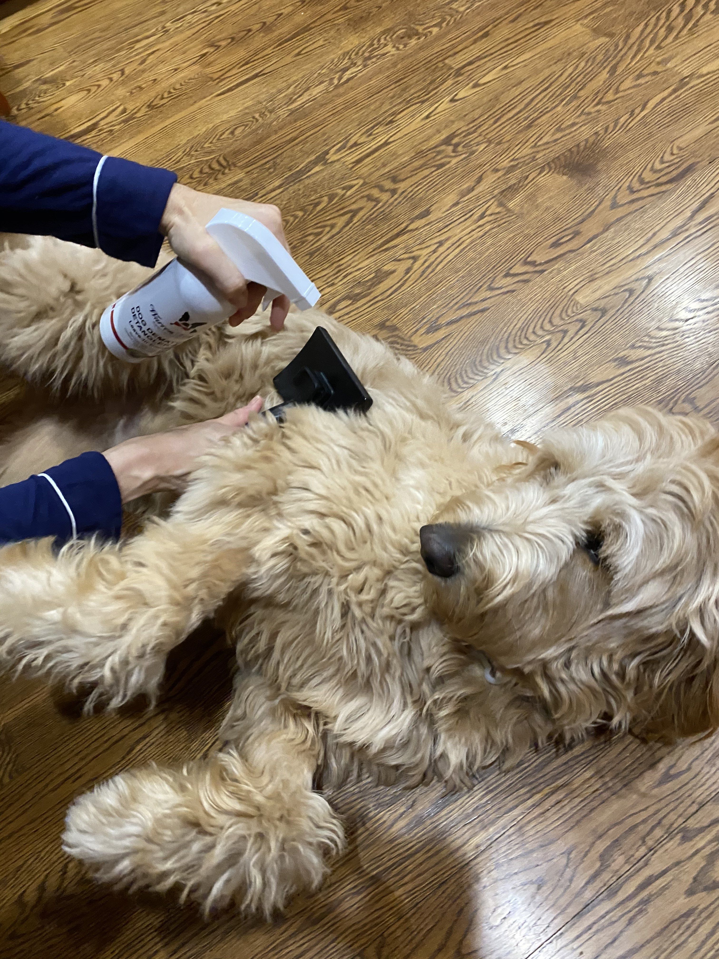 Dog De-matting and Detangler Spray - Leave-In Conditioner