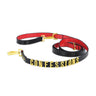 CONFESSION LEASHES