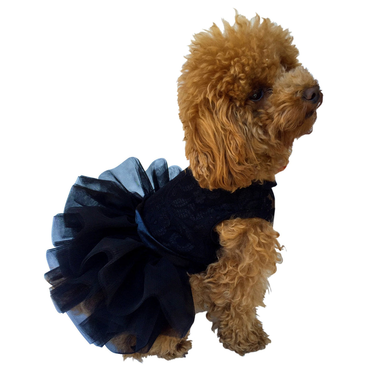 Fufu Tutu Lace, Black