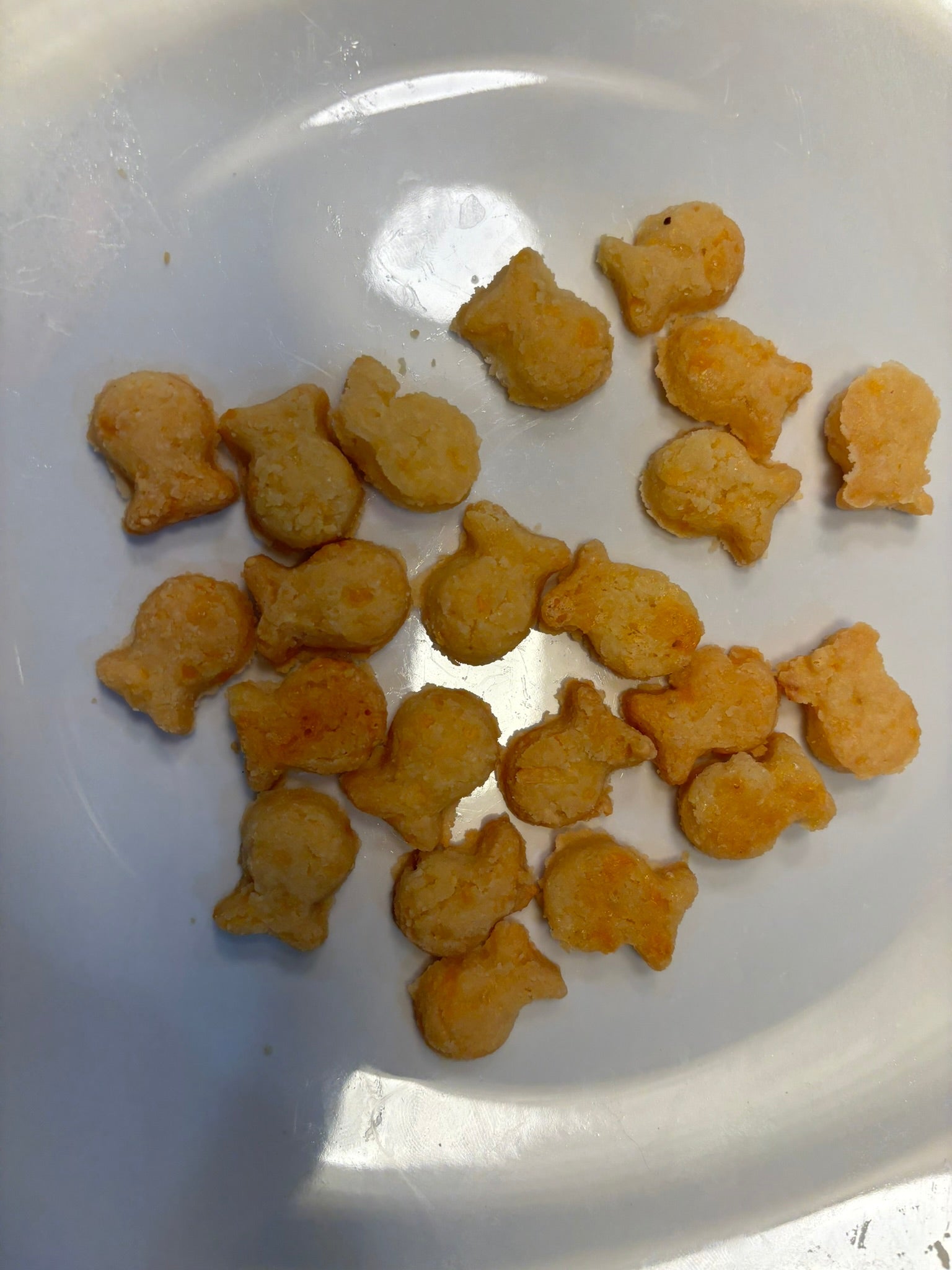 PAWsitively Organic Goldfish Cheddar Dog Treats