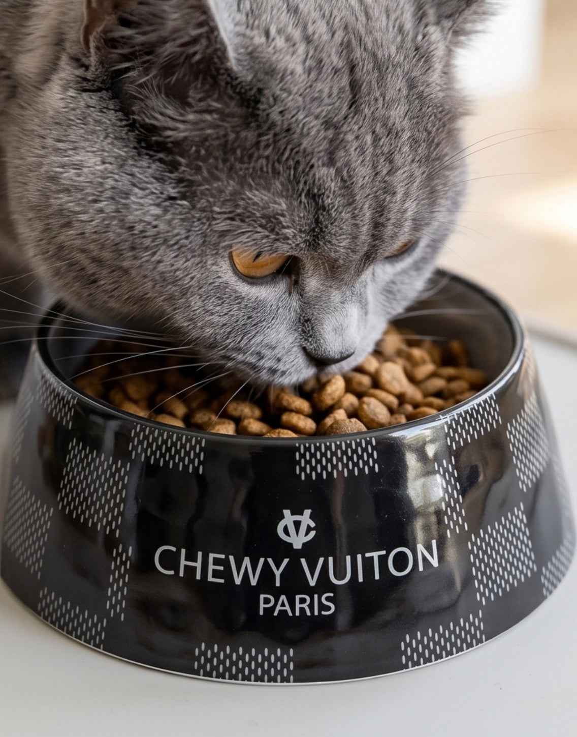 Haute Diggity Dog Black Checker Chewy Vuiton Bowl & Placemat Bundle