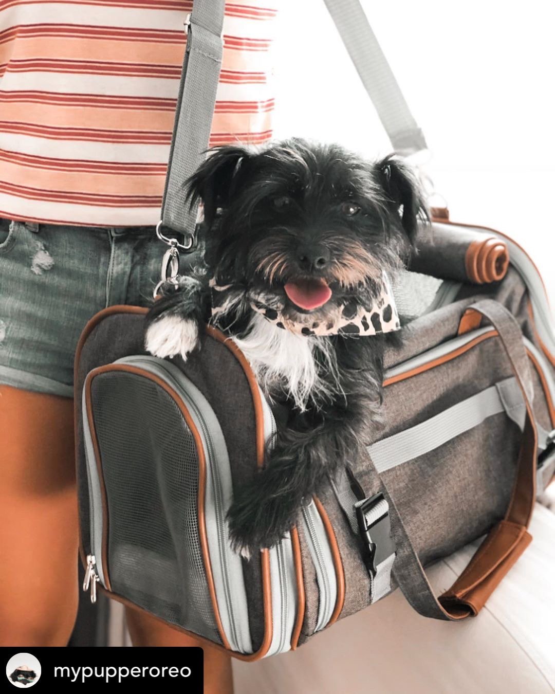 Mr. Peanuts Gold Series Mini Size Airline Compliant Expandable Pet Carrier