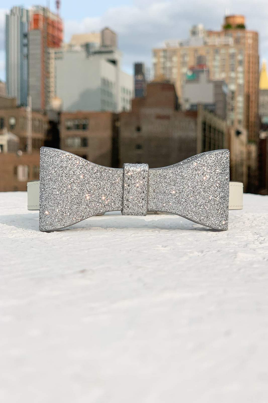 David Collar & Michael Bow Tie