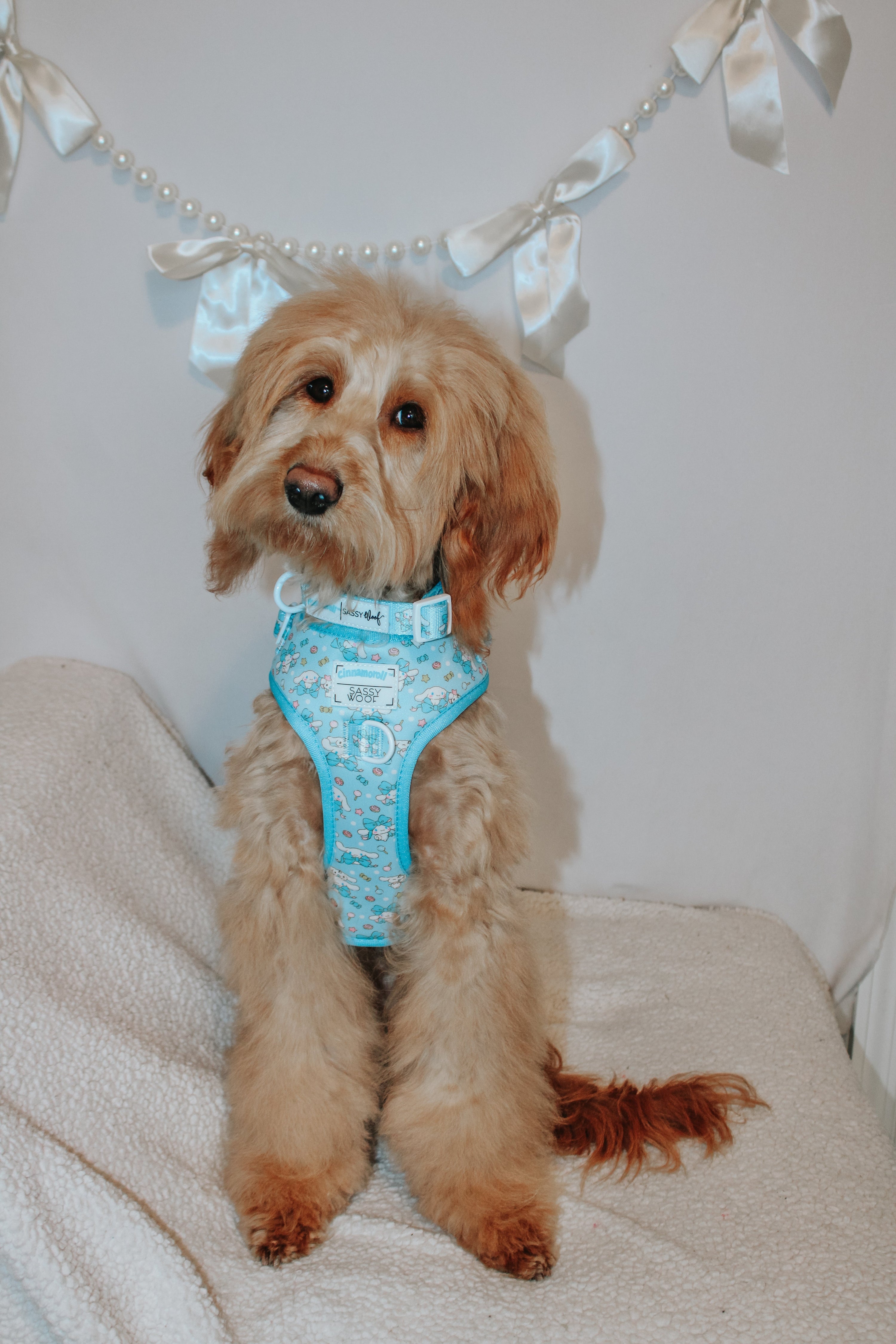 Dog Adjustable Harness - Cinnamoroll™