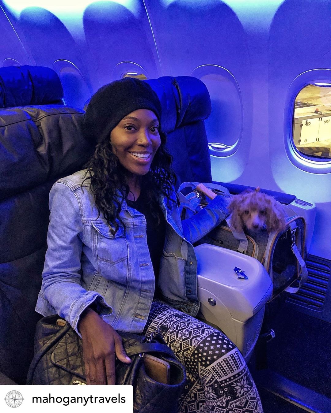 Mr. Peanuts Platinum Series Expandable Pet Carrier