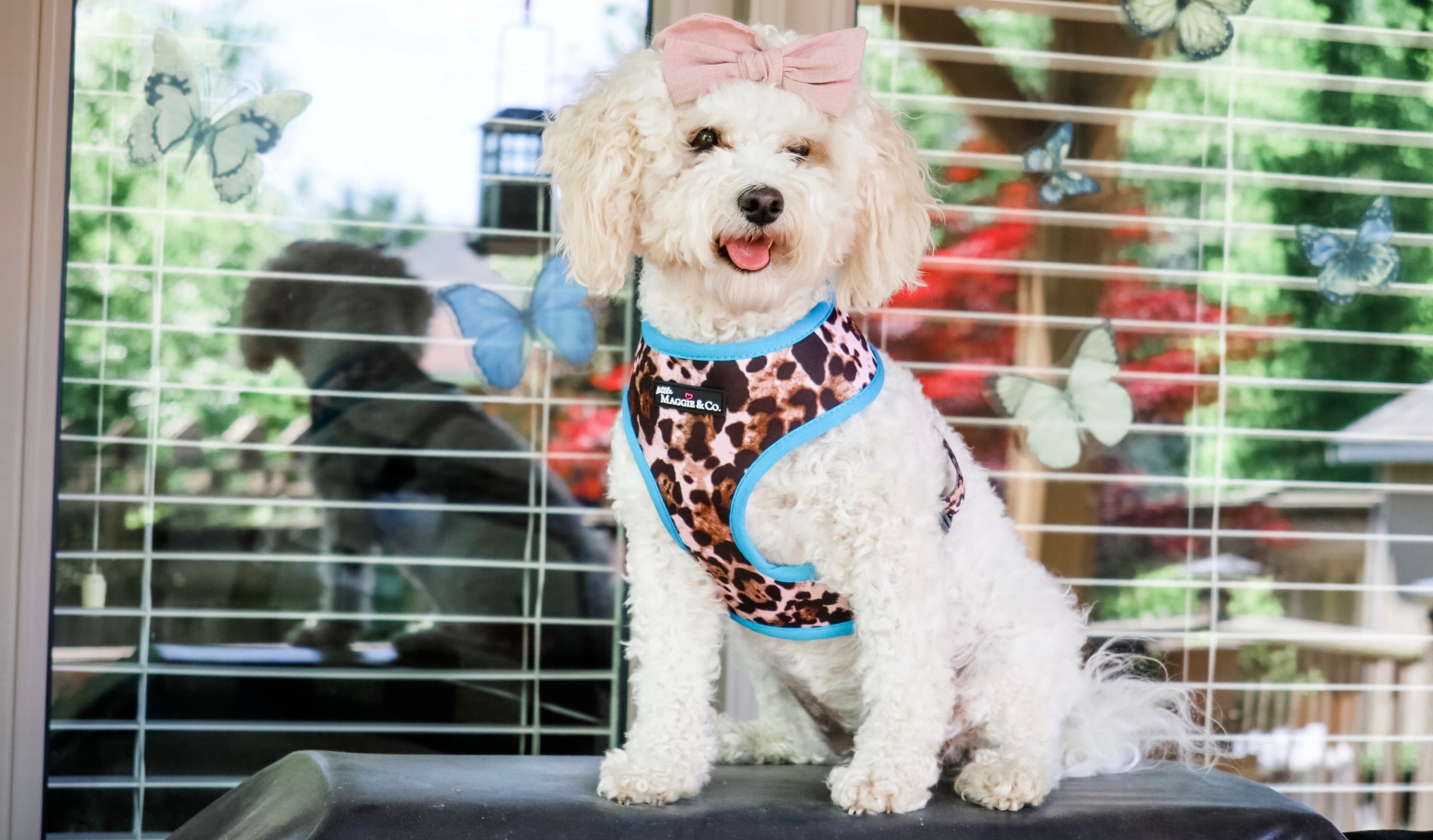 Exotic Reversible Harness