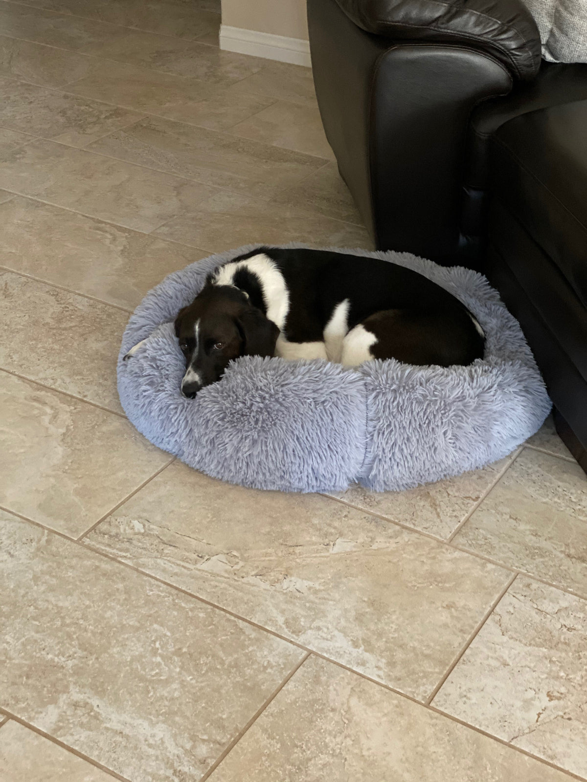 Mr. Peanuts 28" OrthoPlush® Pet Bed - Snowflake White Two Tone