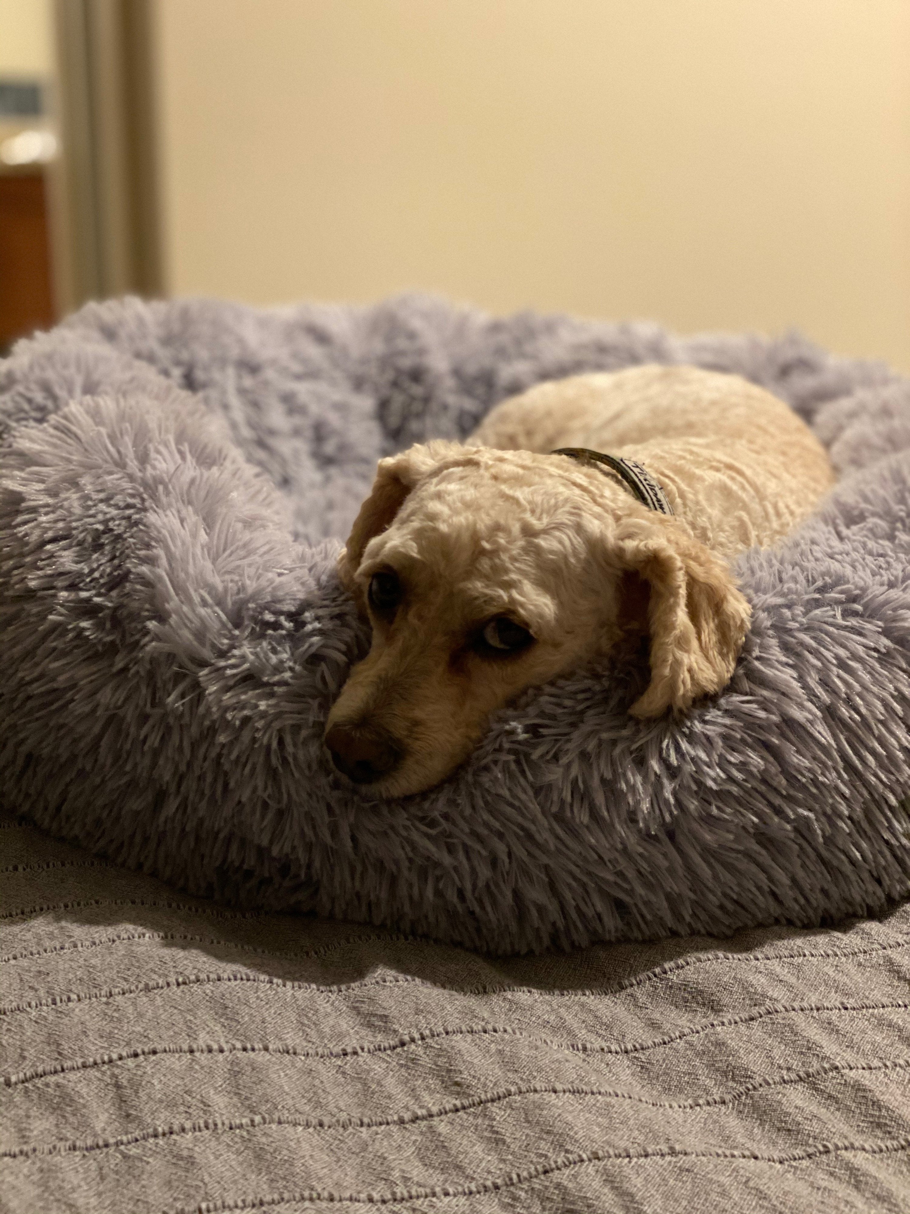 Mr. Peanuts 28" OrthoPlush® Pet Bed - Snowflake White Two Tone