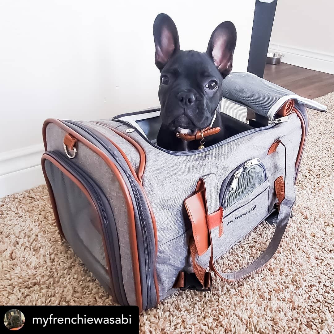 Mr. Peanuts Gold Series Standard Size Airline Compliant Pet Carrier