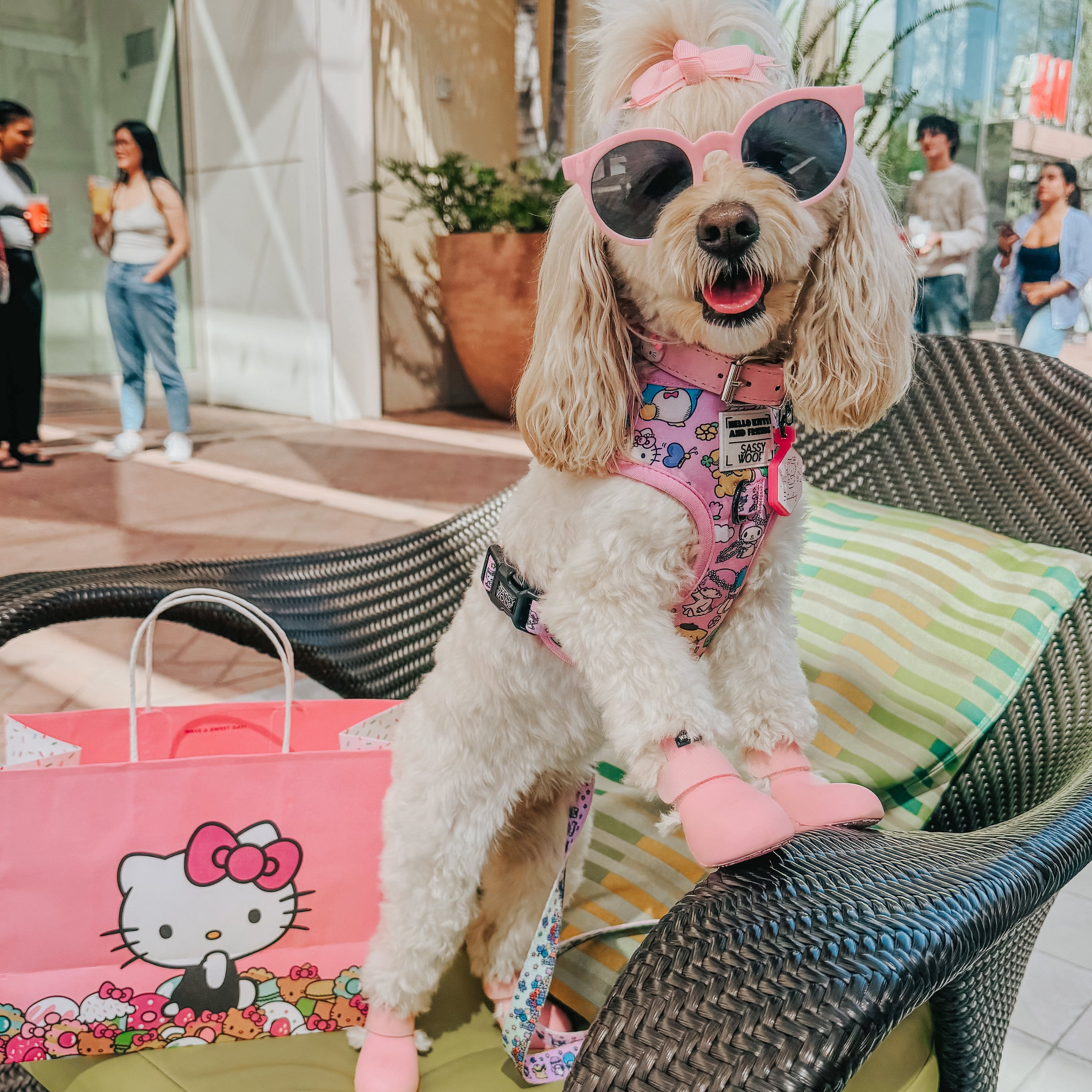 Dog Adjustable Harness - Hello Kitty® & Friends Flower Festival