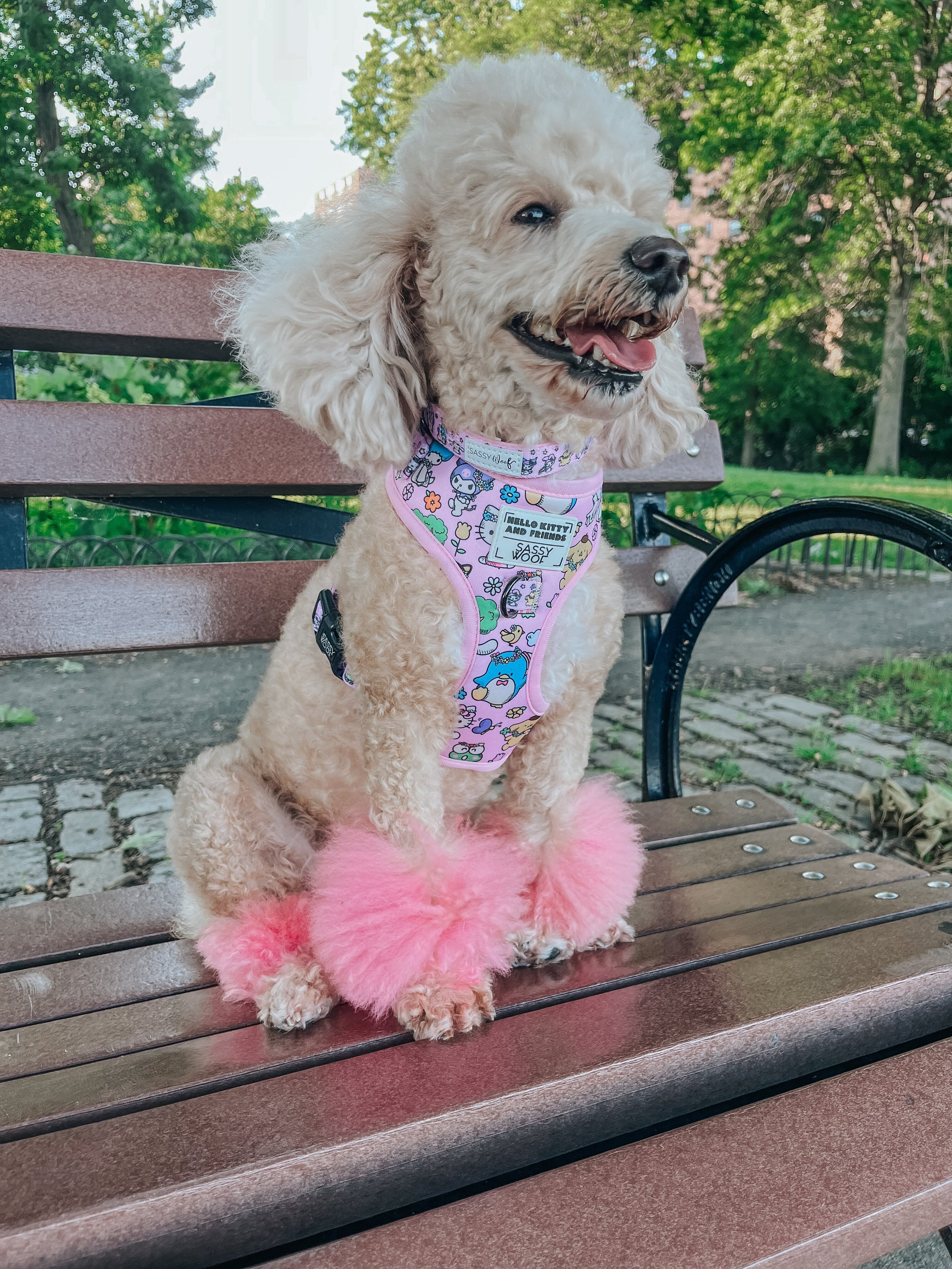Dog Adjustable Harness - Hello Kitty® & Friends Flower Festival