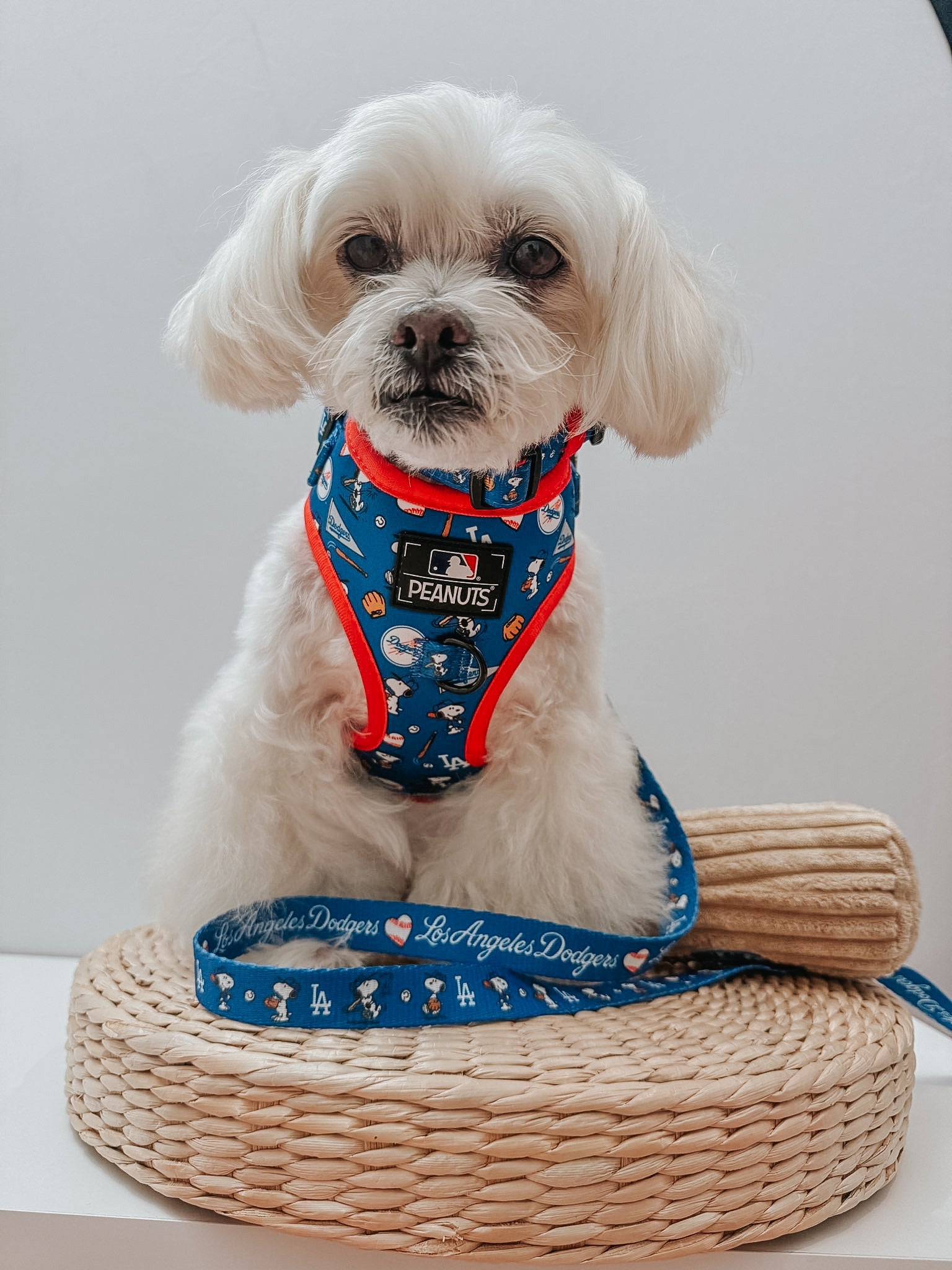 Dog Leash - MLB™ x Peanuts™ Los Angeles Dodgers™