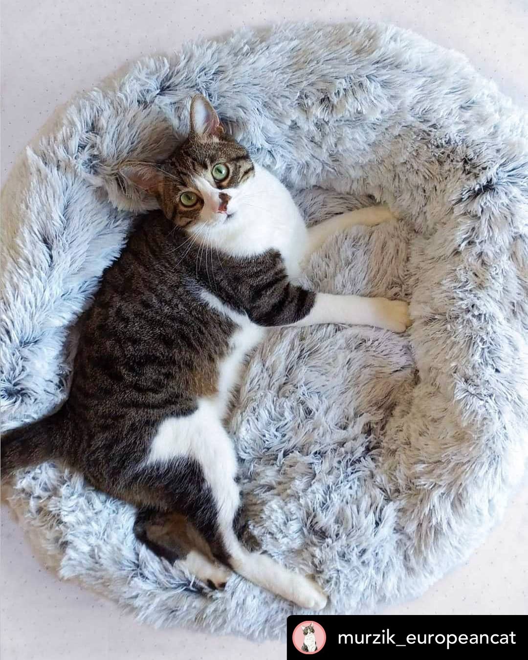 Mr. Peanuts 28" OrthoPlush® Pet Bed - Snowflake White Two Tone