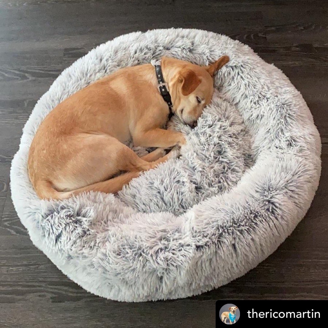 Mr. Peanuts 28" OrthoPlush® Pet Bed - Snowflake White Two Tone