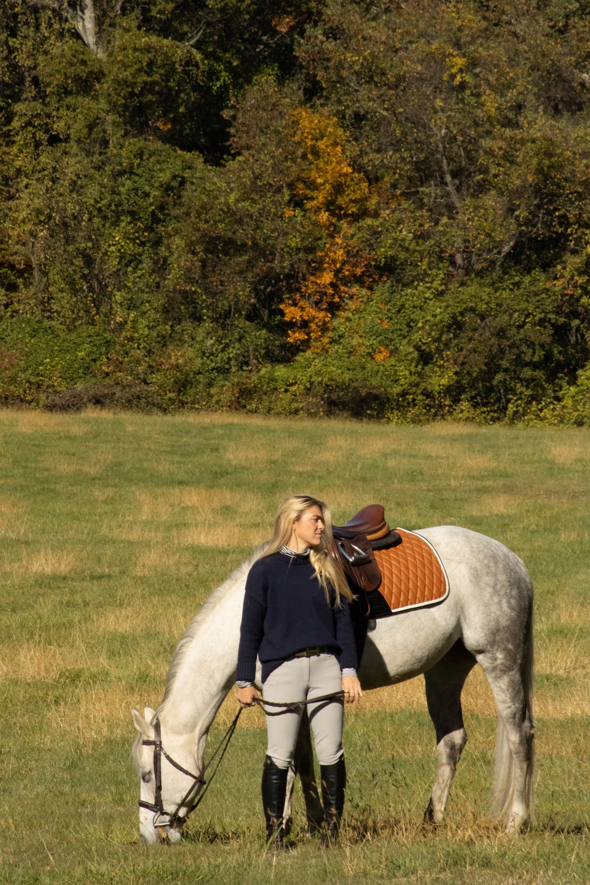San Eligius cognac quilted jump saddle pad with white and black crocodile piping, back view